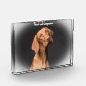 ビーグル犬 フォトブロック (左)