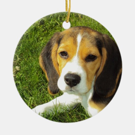 ビーグル犬 ペット 動物 平和 愛 セラミックオーナメント (正面)