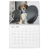 ビーグル犬Calander カレンダー (3月 2026)