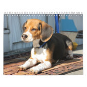 ビーグル犬Calander カレンダー (カバー)