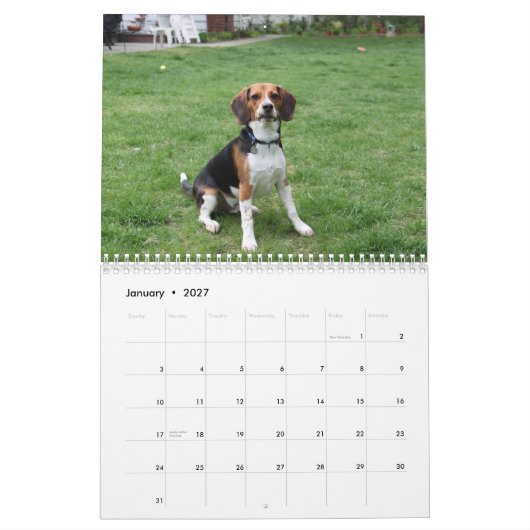 ビーグル犬Calander カレンダー (1月 2027)