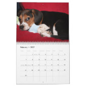 ビーグル犬Calander カレンダー (2月 2027)