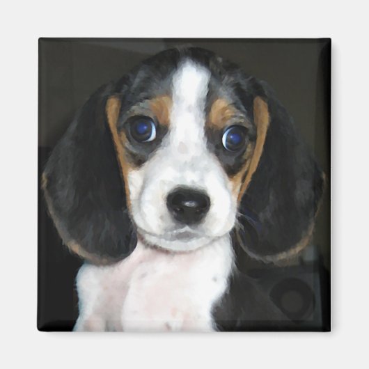 ビーグル磁石2 マグネット (正面)