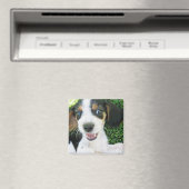 ビーグル磁石 マグネット (インサイチュ (食洗機))