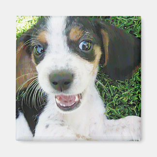 ビーグル磁石 マグネット