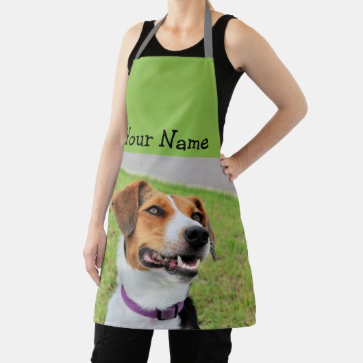 ビーグル エプロン (インサイチュ)