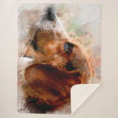 ビーグル シェルパブランケット (正面)