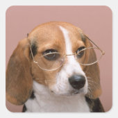 ビーグル スクエアシール (正面)