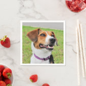 ビーグル スタンダードカクテルナプキン (インサイチュ)