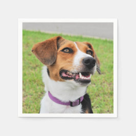 ビーグル スタンダードカクテルナプキン