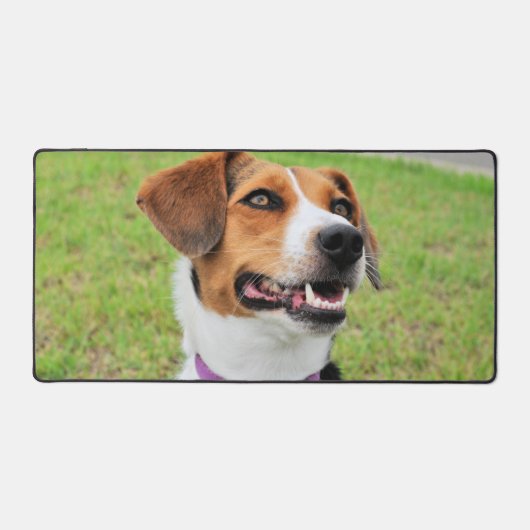 ビーグル デスクマット (正面)