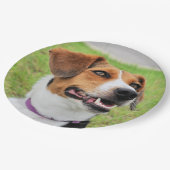 ビーグル ペーパープレート (アングル)