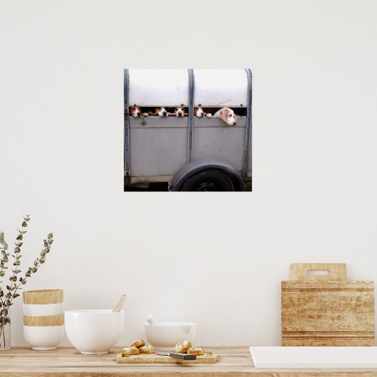 ビーグル ポスター (キッチン)