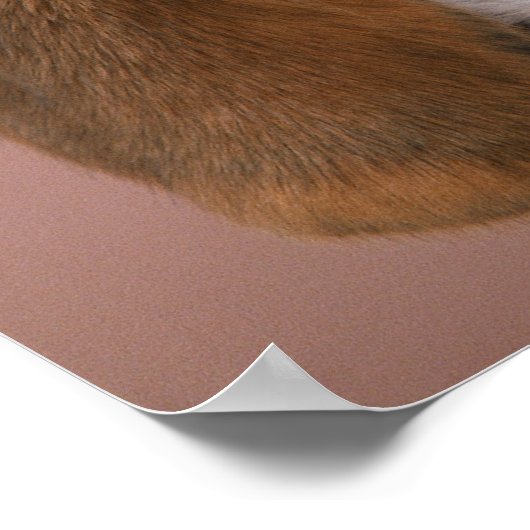 ビーグル ポスター (角)