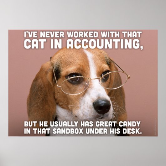 ビーグル ポスター (正面)