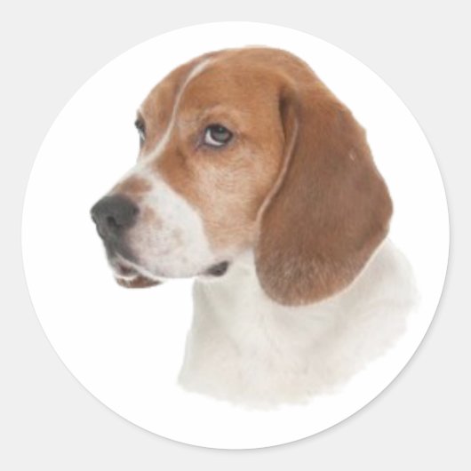 ビーグル ラウンドシール (正面)