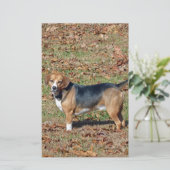 ビーグル 便箋 (スタンド正面)