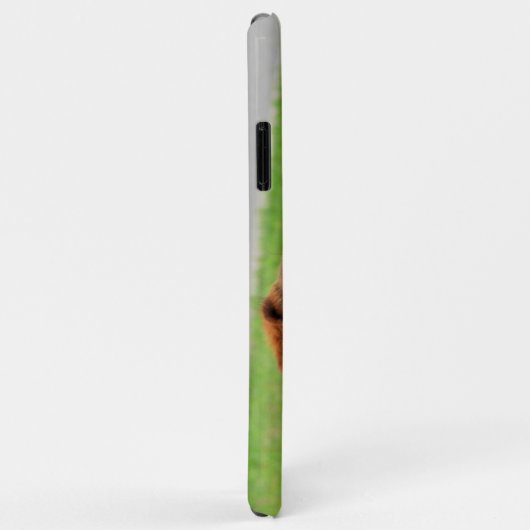 ビーグル Case-Mate iPhoneケース (裏面/右)