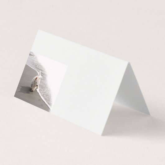 ビーコミングWestieフォト名刺 名刺 (正面)