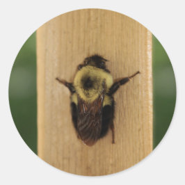 ビージラ ラウンドシール