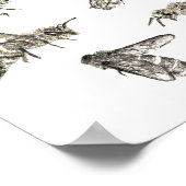 ビースケッチ ポスター (角)