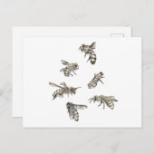 ビースケッチ ポストカード (正面/裏面)