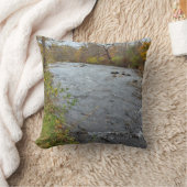 ビーステイルオールドグランドクリーク クッション (ブランケット)