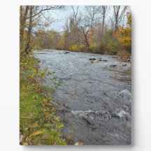 ビーステイルオールドグランドクリーク