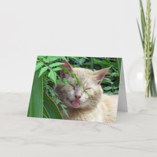 ビーストのグリーティングカード カード (正面)