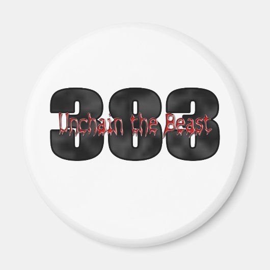 ビーストリー383ストローカーモーター マグネット (正面)