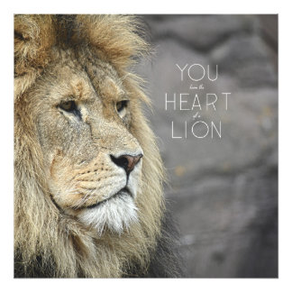 ビーストリー（昆虫）オオカバマダラ、モナーク#1 (24x24) フォトプリント           