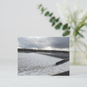 ビーストンヴァイル ポストカード (スタンド正面)