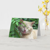 ビースト子猫ハグ誕生日カード カード (黄色い花)