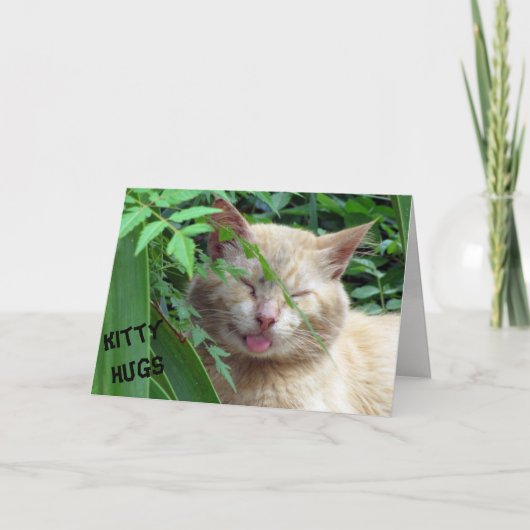ビースト子猫ハグ誕生日カード カード (正面)