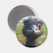 ビーズの瞳EMU マグネット (正面/裏面)