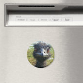 ビーズの瞳EMU マグネット (インサイチュ (食洗機))