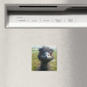 ビーズの瞳EMU マグネット (インサイチュ (食洗機))