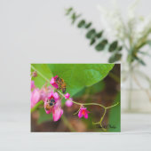 ビーズオンコーラルつる植物フラワーズ写真テンプレート ポストカード (スタンド正面)