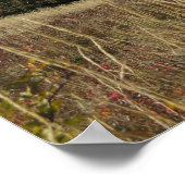 ビーズチェディ山脈 ポスター (角)