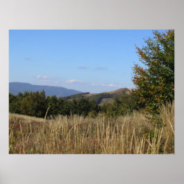 ビーズチェディ山脈 ポスター