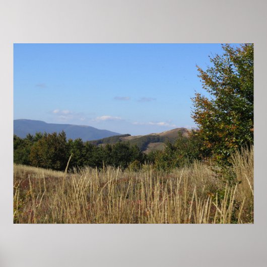 ビーズチェディ山脈 ポスター (正面)