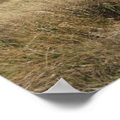 ビーズチェディ山脈 ポスター (角)