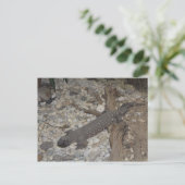 ビーズトカゲ# 1 ポストカード (スタンド正面)