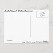 ビーズトカゲ# 1 ポストカード (裏面)