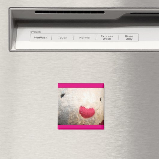 ビーズ磁石 マグネット (インサイチュ (食洗機))