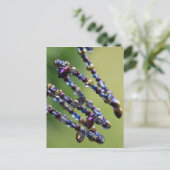 ビーズ-809 ポストカード (スタンド正面)