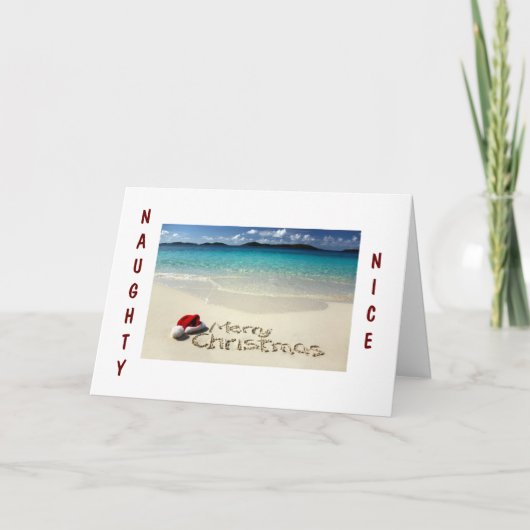 ビーチいけなまたは素敵なクリスマスの願い シーズンカード (正面)