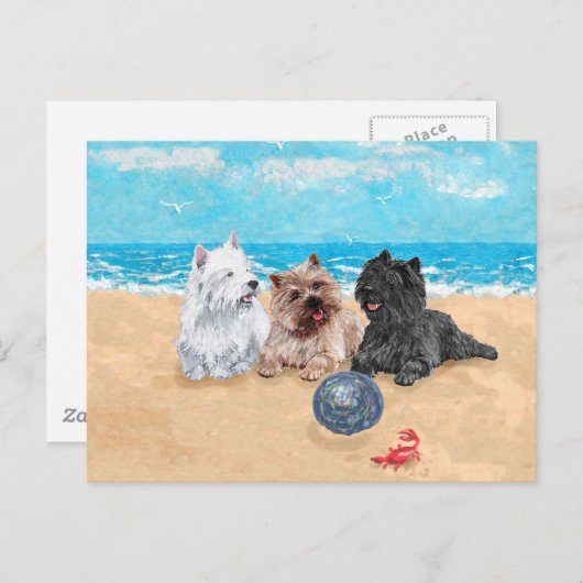 ビーチでのウェスティーとケアン・テリア ポストカード (正面/裏面)