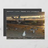 ビーチでの家族再会 - 夕焼けのカモメたち 招待状 (正面/裏面)