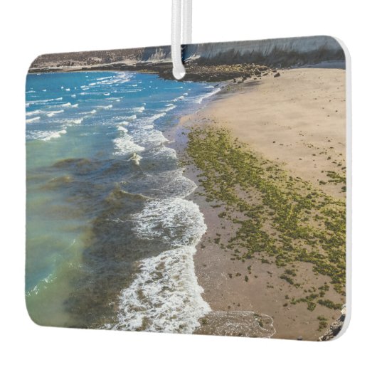 ビーチでプエルトピラミデス，アルゼンチン カーエアーフレッシュナー (左)